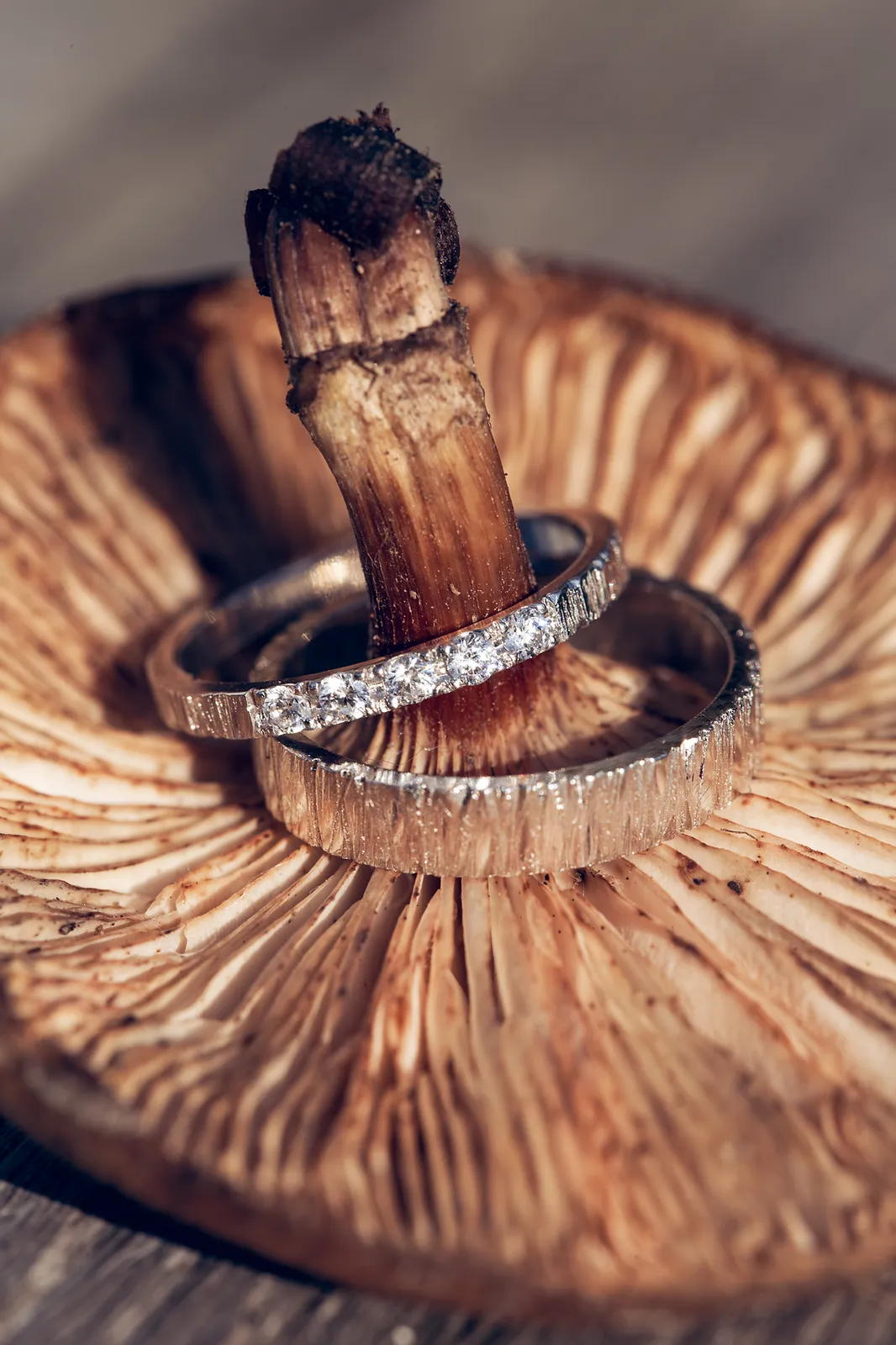 Juwelen (13 of 17).jpg